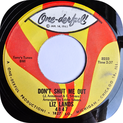 Liz Lands - Don't Shut Me Out - One-Derful
