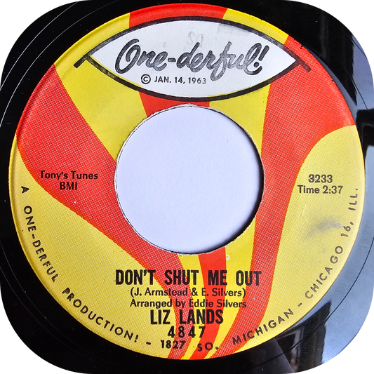 Liz Lands - Don't Shut Me Out - One-Derful