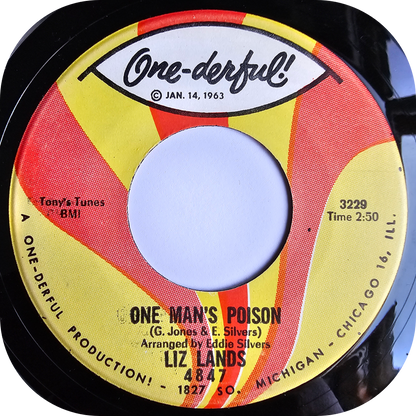 Liz Lands - Don't Shut Me Out - One-Derful