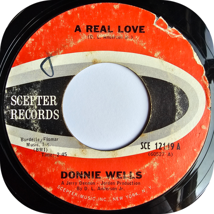 Donnie Wells - You've Got My Love - Scepter