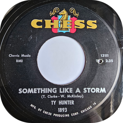Ty Hunter - Something Like A Storm - Chess