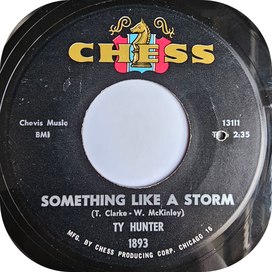 Ty Hunter - Something Like A Storm - Chess