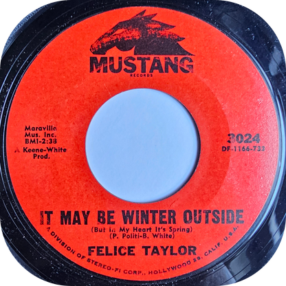 Felice Taylor - It May Be Winter Outside - Mustang