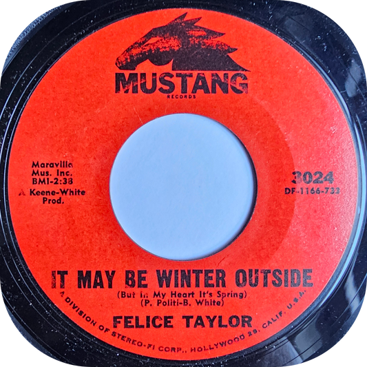Felice Taylor - It May Be Winter Outside - Mustang