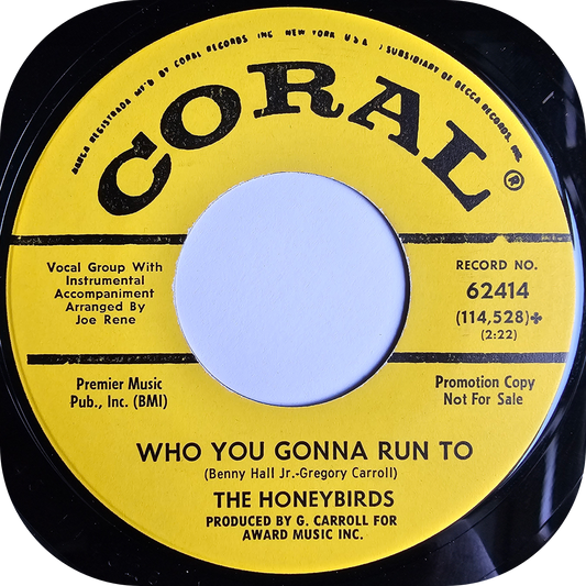 Honeybirds, The - Who You Gonna Run To - Coral DEMO