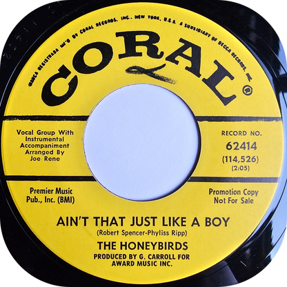 Honeybirds, The - Who You Gonna Run To - Coral DEMO