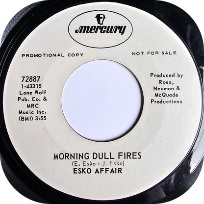 Esko Affair - Salt And Pepper - Mercury DEMO