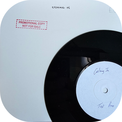 Voices Of East Harlem - Cashing In - White Label