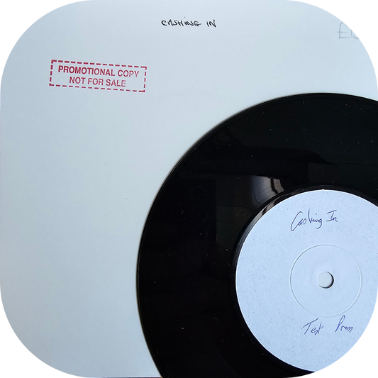 Voices Of East Harlem - Cashing In - White Label