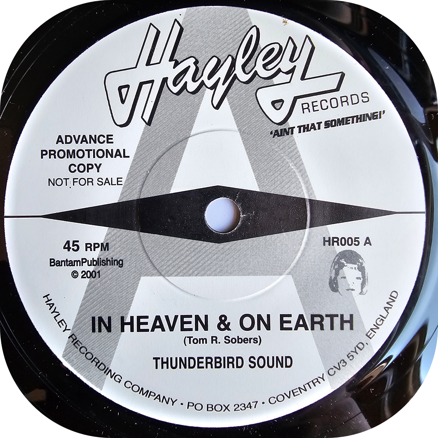 Thunderbird Sound - In Heaven & On Earth - Hayley DEMO