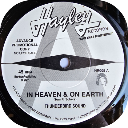 Thunderbird Sound - In Heaven & On Earth - Hayley DEMO