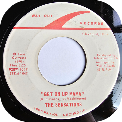 Sensations, The - I Won't Be Hurt - Way Out