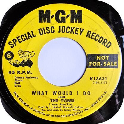 Tymes, The - What Would I Do - MGM DEMO