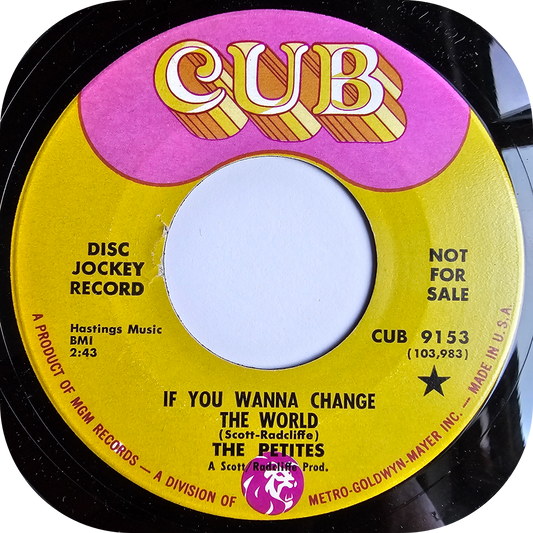 Petites, The - Don't Go Changing Your Mind - Cub DEMO