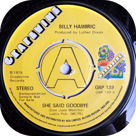 Billy Hambric - She Said Goodbye - Grapevine DEMO