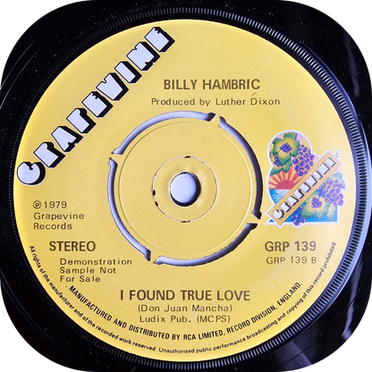 Billy Hambric - She Said Goodbye - Grapevine DEMO