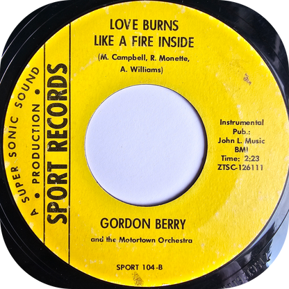 Abstract Reality, The - Love Burns Like A Fire Inside - Sport