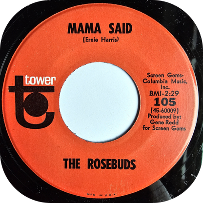 Rosebuds, The - Say You'll Be Mine - Tower