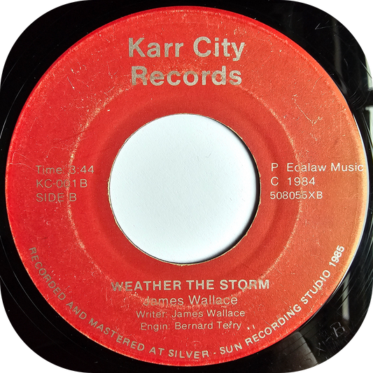 James Wallace - Weather The Storm - Karr City