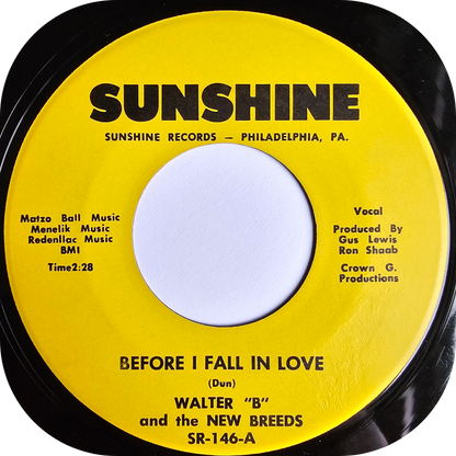 Walter "B" - Before I Fall In Love - Sunshine