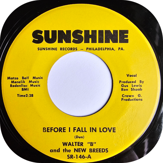 Walter "B" - Before I Fall In Love - Sunshine