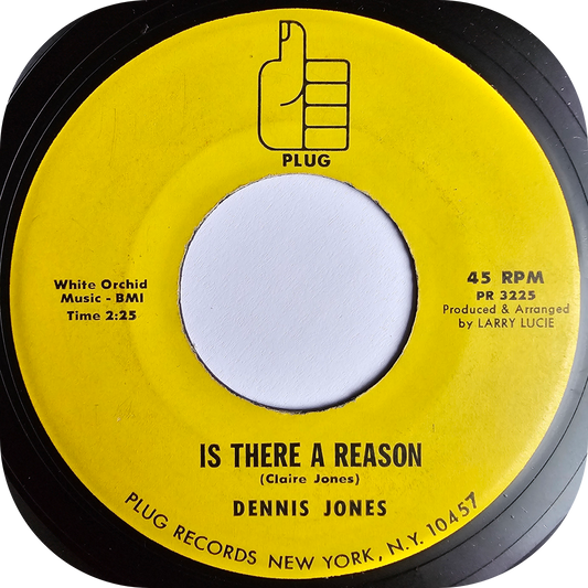 Dennis Jones - Is There A Reason - Plug
