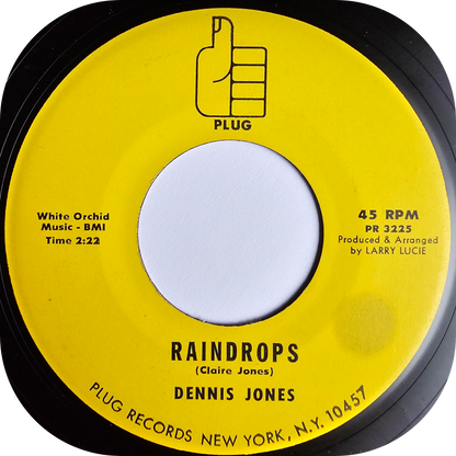 Dennis Jones - Is There A Reason - Plug