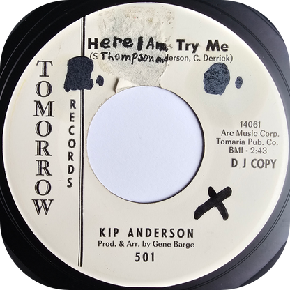 Kip Anderson - I Get Carried Away - Tomorrow DEMO