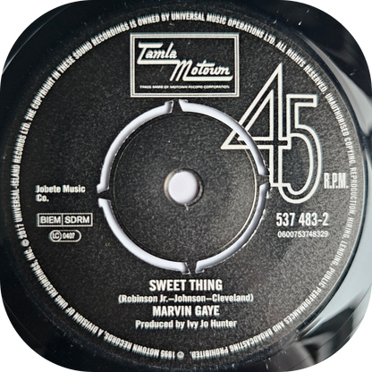 Marvin Gaye - Sweet Thing - Tamla Motown