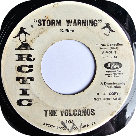 Volcanos, The - Storm Warning - Arctic DEMO