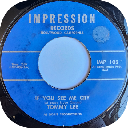 Tommy Lee - One Of These Days - Impression