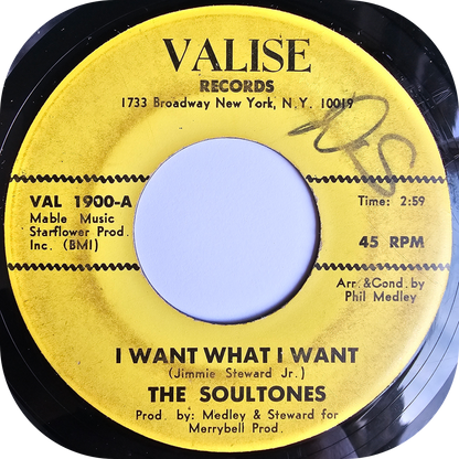 Soultones, The - You And Me Baby - Valise