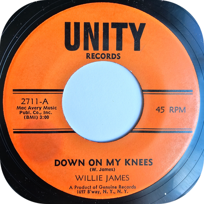 Willie James - Stand Up For Your Rights - Unity