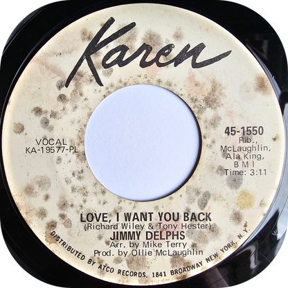 Jimmy Delphs - Am I Losing You - Karen DEMO