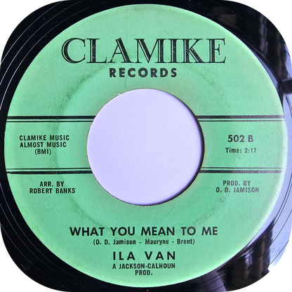 Ila Van - What You Mean To Me - Clamike