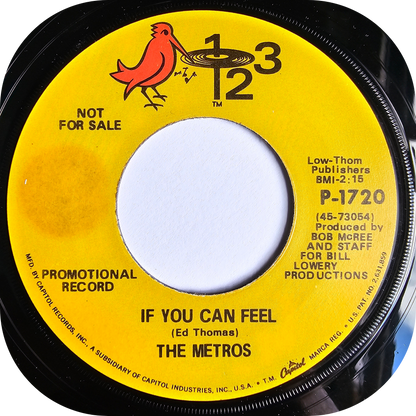 Metros, The - The Dampness From Your Kiss - 123 DEMO