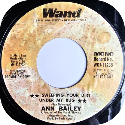 Ann Bailey - Sweeping Your Dirt Under My Rug - Wand DEMO