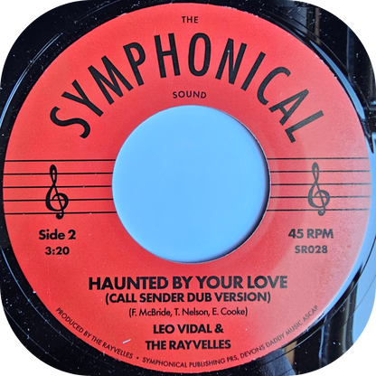 Leo Vidal - Haunted By Your Love - Symphonical