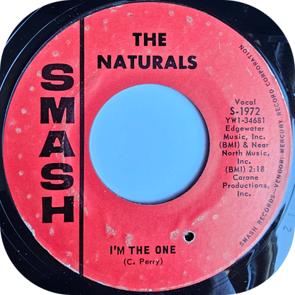 Naturals, The - I'm The One - Smash