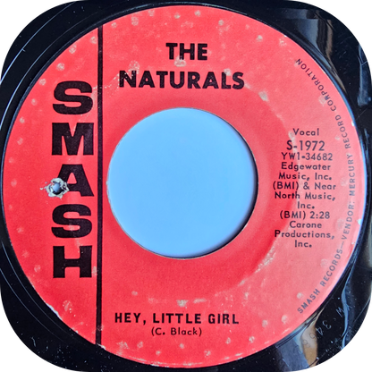 Naturals, The - I'm The One - Smash