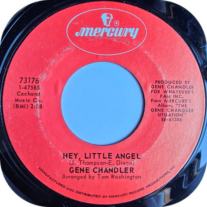 Gene Chandler - It's Your Love I'm After - Mercury