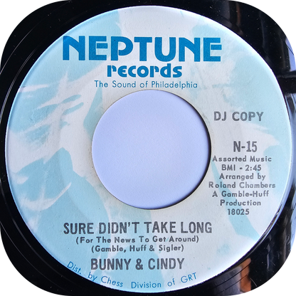 Bunny & Cindy - We're Only Human - Neptune DEMO