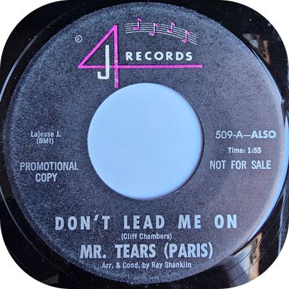 Mr Tears (Paris) - Don't Lead Me On - 4J DEMO