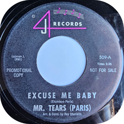 Mr Tears (Paris) - Don't Lead Me On - 4J DEMO