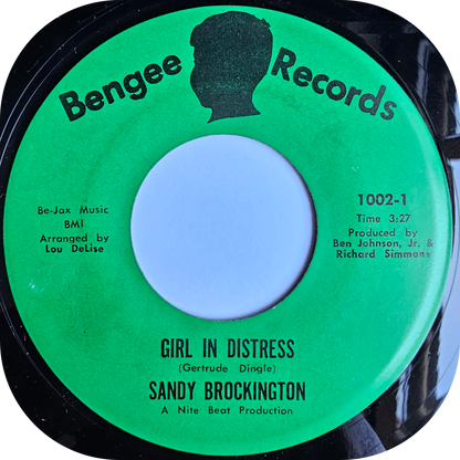 Sandy Brockington - It Was You - Bengee