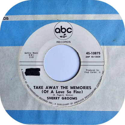 Sherry Grooms - Take Away The Memories - ABC DEMO