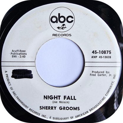 Sherry Grooms - Take Away The Memories - ABC DEMO
