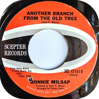 Ronnie Milsap - Ain't No Soul Left In These Ole Shoes - Scepter