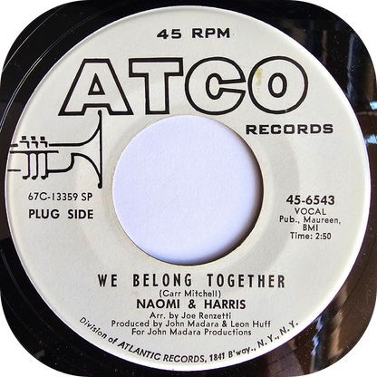 Naomi & Harris - Come On Baby And Hurt Me - Atco DEMO