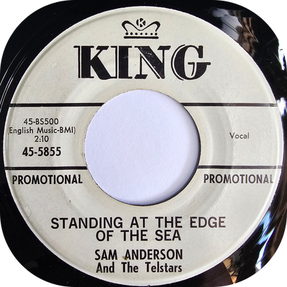 Sam Anderson - Standing At The Edge Of The Sea - King DEMO